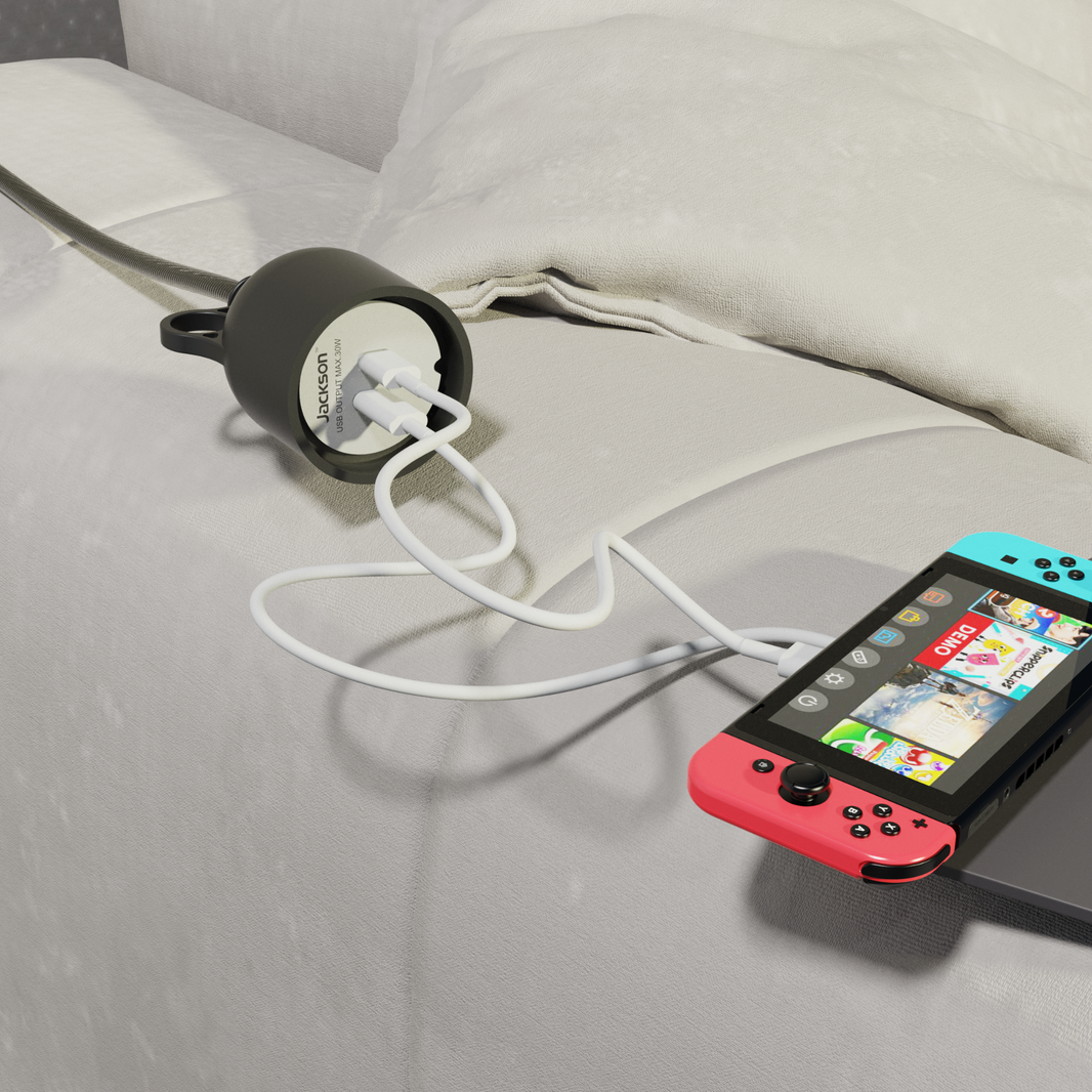 Raptor Dual USB-C 30W Charging Lead